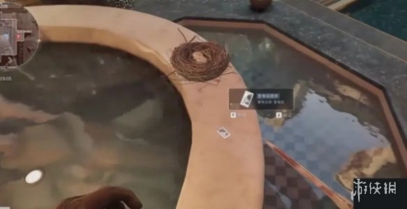 网8
